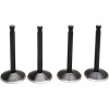 Βαλβίδα kt SHOVEL 80 78-83 KIBBLEWHITE 20-22500