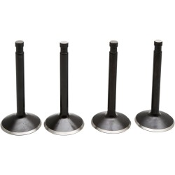 Βαλβίδα kt SHOVEL 80 78-83 KIBBLEWHITE 20-22500 Βαλβίδα kt SHOVEL 80 78-83 KIBBLEWHITE 20-22500
