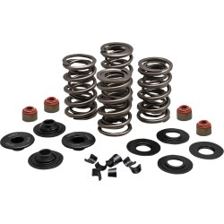 Σετ ελατηρίων 05-17 TC/XL KIBBLEWHITE 20-23500 Σετ ελατηρίων 05-17 TC/XL KIBBLEWHITE 20-23500