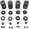 Σετ ελατηρίων 05-17 TC/XL KIBBLEWHITE 20-23600