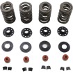 Σετ ελατηρίων 05-17 TC/XL KIBBLEWHITE 20-23600 thumb