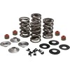 Σετ ελατηρίων 05-17 TC/XL KIBBLEWHITE 20-23550