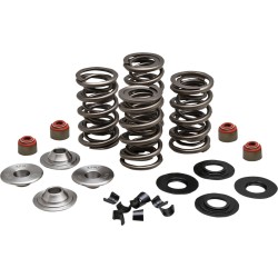 Σετ ελατηρίων 05-17 TC/XL KIBBLEWHITE 20-23550