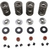 Σετ ελατηρίων 05-17 TC/XL KIBBLEWHITE 20-23650
