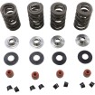 Σετ ελατηρίων 05-17 TC/XL KIBBLEWHITE 20-23650 Σετ ελατηρίων 05-17 TC/XL KIBBLEWHITE 20-23650 thumb