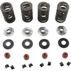 Σετ ελατηρίων 05-17 TC/XL KIBBLEWHITE 20-23650 Σετ ελατηρίων 05-17 TC/XL KIBBLEWHITE 20-23650
