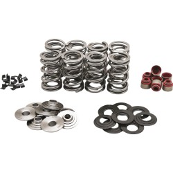 Ελατήριο KT DUAL M8 .630 T KIBBLEWHITE 20-23800 Ελατήριο KT DUAL M8 .630 T KIBBLEWHITE 20-23800