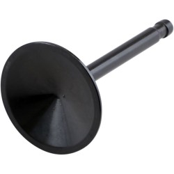 Βαλβίδα BLACK DIAMOND εισαγωγής KIBBLEWHITE 20-4196