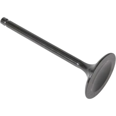 Βαλβίδα black diamond intake KIBBLEWHITE 30-3003