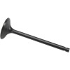 Βαλβίδα εισαγωγής black diamond KIBBLEWHITE 80-80060
