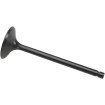 Βαλβίδα εισαγωγής black diamond KIBBLEWHITE 80-80060 Βαλβίδα εισαγωγής black diamond KIBBLEWHITE 80-80060 thumb