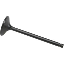 Βαλβίδα εισαγωγής black diamond KIBBLEWHITE 80-80060