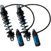 Αμορτισέρ REVO-ARC RR 13 LEGEND SUSPENSIONS 1310-1882 thumb