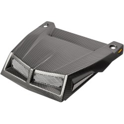 Κάλυμμα RZR X17 BK CARBON MAIER USA 19464-30 Κάλυμμα RZR X17 BK CARBON MAIER USA 19464-30