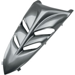 Κάλυμμα YFM350R BCF MAIER USA 51003-30