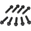Βίδες συμπλέκτη POL MOOSE RACING 100-2185-PU Βίδες συμπλέκτη POL MOOSE RACING 100-2185-PU thumb