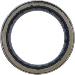 Ρουλεμάν Συμπλέκτη - Polaris MOOSE RACING 100-4202-PU Ρουλεμάν Συμπλέκτη - Polaris MOOSE RACING 100-4202-PU