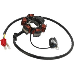 Στάτορας CAN AM MOOSE RACING M-21-061 Στάτορας CAN AM MOOSE RACING M-21-061