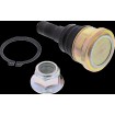 Κάτω άρθρωση POL RZR MSE MOOSE RACING 42-1066 Κάτω άρθρωση POL RZR MSE MOOSE RACING 42-1066 thumb