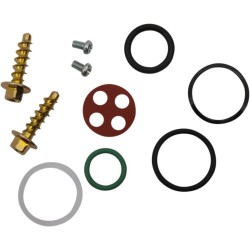 Σετ αποκατάστασης βαλβίδας καυσίμου KTM MOOSE RACING 60-1017 Σετ αποκατάστασης βαλβίδας καυσίμου KTM MOOSE RACING 60-1017