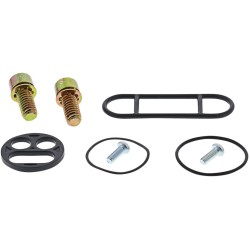 Σετ αποκατάστασης βαλβίδας καυσίμου POL MOOSE RACING 60-1035 Σετ αποκατάστασης βαλβίδας καυσίμου POL MOOSE RACING 60-1035