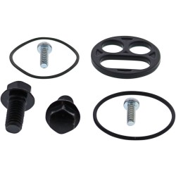 Σετ αποκατάστασης βαλβίδας καυσίμου KAW MOOSE RACING 60-1075 Σετ αποκατάστασης βαλβίδας καυσίμου KAW MOOSE RACING 60-1075