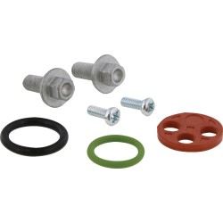 Σετ αποκατάστασης βαλβίδας καυσίμου MOOSE RACING 60-1231