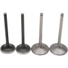 Σετ βαλβίδων PRO TITANIUM MOOSE RACING M30-32305