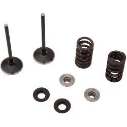 Σετ βαλβίδων IN MSE YZ 250F MOOSE RACING M80-82350
