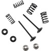 Σετ βαλβίδων EX MSE YZ 250F MOOSE RACING M80-82360
