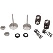 Βαλβίδα εισαγωγής MSE CRF450 RX/WE MOOSE RACING M30-32780 Βαλβίδα εισαγωγής MSE CRF450 RX/WE MOOSE RACING M30-32780 thumb