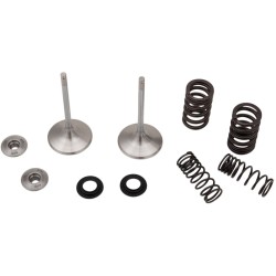 Βαλβίδα εισαγωγής MSE CRF450 RX/WE MOOSE RACING M30-32780 Βαλβίδα εισαγωγής MSE CRF450 RX/WE MOOSE RACING M30-32780