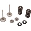 Βαλβίδα EX MSE CRF450 RX/WE MOOSE RACING M30-32785