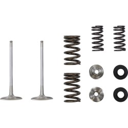 Βαλβίδα in MSE KAW 250 MOOSE RACING M40-41650 Βαλβίδα in MSE KAW 250 MOOSE RACING M40-41650
