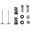 Βαλβίδα ex MSE KAW 250 MOOSE RACING M40-41660 Βαλβίδα ex MSE KAW 250 MOOSE RACING M40-41660 thumb
