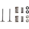 Βαλβίδα in MSE HON 250 MOOSE RACING M30-34000