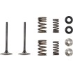 Βαλβίδα in MSE HON 250 MOOSE RACING M30-34000 Βαλβίδα in MSE HON 250 MOOSE RACING M30-34000 thumb