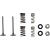 Βαλβίδα EX MSE HON 250 MOOSE RACING M30-34010