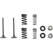 Βαλβίδα EX MSE HON 250 MOOSE RACING M30-34010 Βαλβίδα EX MSE HON 250 MOOSE RACING M30-34010 thumb