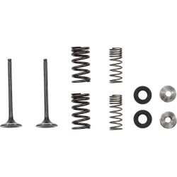 Βαλβίδα EX MSE HON 250 MOOSE RACING M30-34010 Βαλβίδα EX MSE HON 250 MOOSE RACING M30-34010
