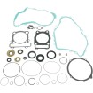 Σετ φλάντζες με τσιμούχες λαδιού ATV-UTV MOOSE RACING 811861MSE thumb