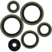 Σετ τσιμούχες offroad MOOSE RACING 822187MSE thumb