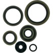 Σετ τσιμουχών offroad MOOSE RACING 822190MSE Σετ τσιμουχών offroad MOOSE RACING 822190MSE thumb