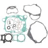 Σετ φλάντζες με τσιμούχες λαδιού ATV-UTV MOOSE RACING 811905MSE