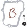 Σετ ανακατασκευής αντλίας νερού MOOSE RACING 821613MSE