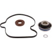 Σετ επισκευής αντλίας νερού CAN AM MSE MOOSE RACING 821015MSE Σετ επισκευής αντλίας νερού CAN AM MSE MOOSE RACING 821015MSE thumb