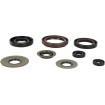 Σετ τσιμουχών MOOSE RACING 822218MSE Σετ τσιμουχών MOOSE RACING 822218MSE thumb
