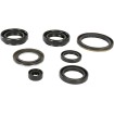 Σετ τσιμούχες MOOSE RACING 822239MSE Σετ τσιμούχες MOOSE RACING 822239MSE thumb