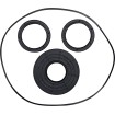 Στεγανοποίηση KT differential frt MOOSE RACING 25-2108-5 Στεγανοποίηση KT differential frt MOOSE RACING 25-2108-5 thumb
