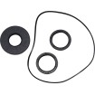 Στεγανοποίηση KT differential frt MOOSE RACING 25-2115-5 Στεγανοποίηση KT differential frt MOOSE RACING 25-2115-5 thumb